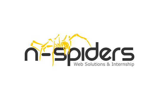 N Spiders Web Solutions