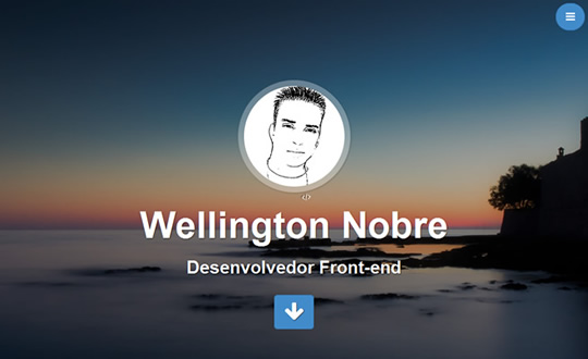 Wellington Nobre