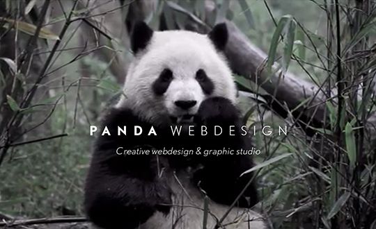Panda Webdesign