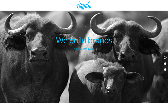buffalo brand development