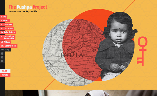 The Pushpa Project