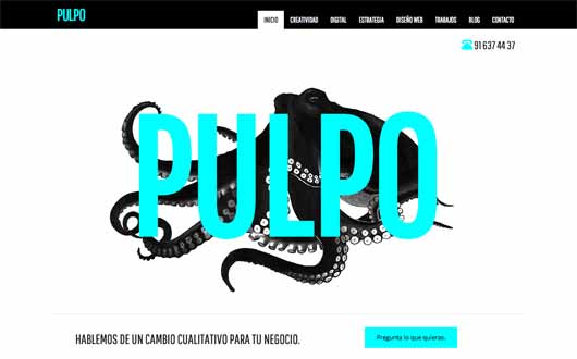 Pulpo