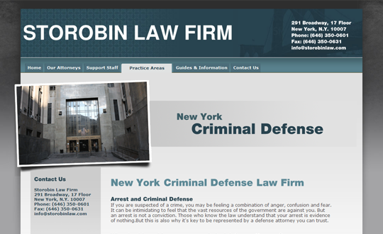 criminal lawyer
