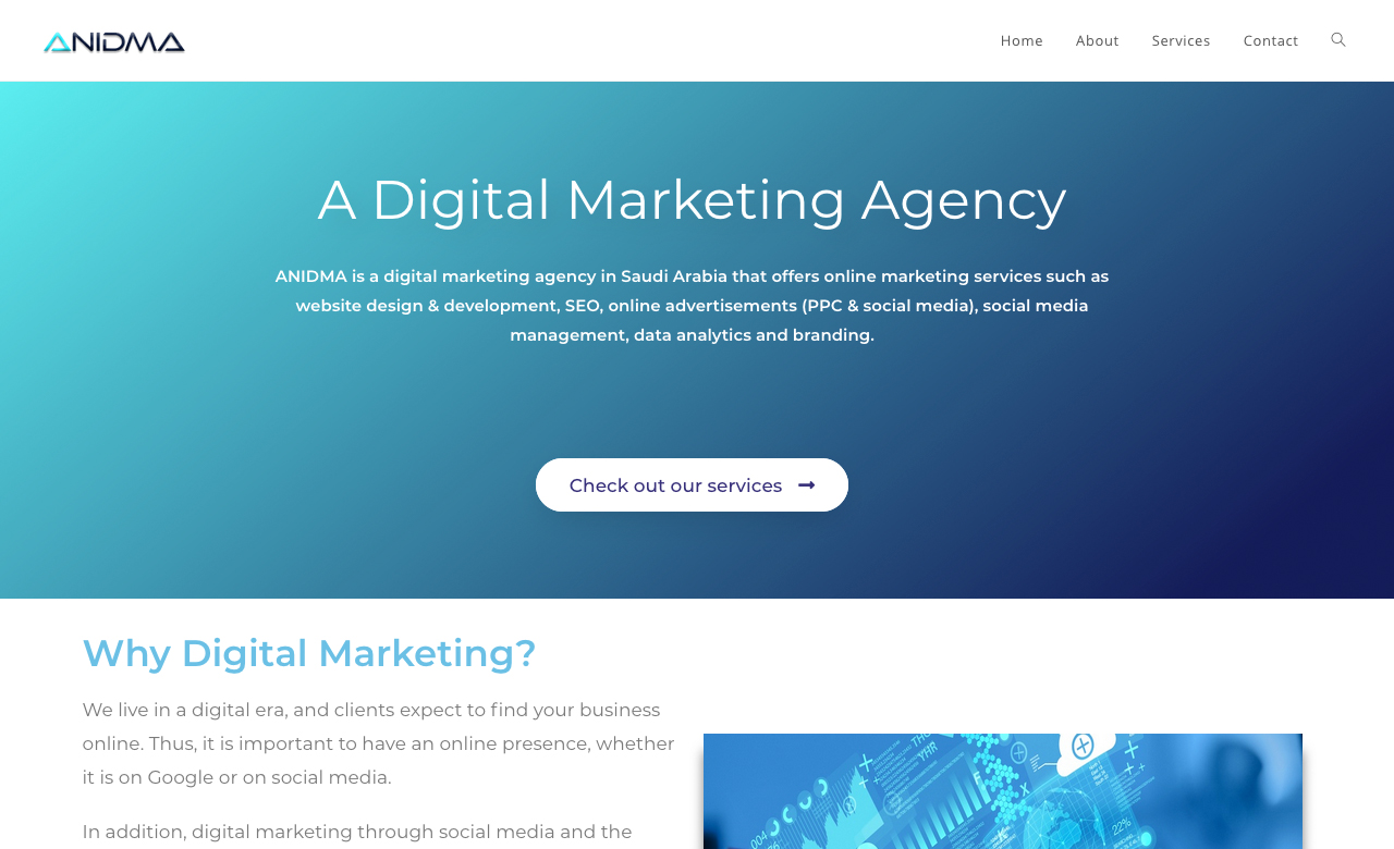 ANIDMA Digital Marketing Agency