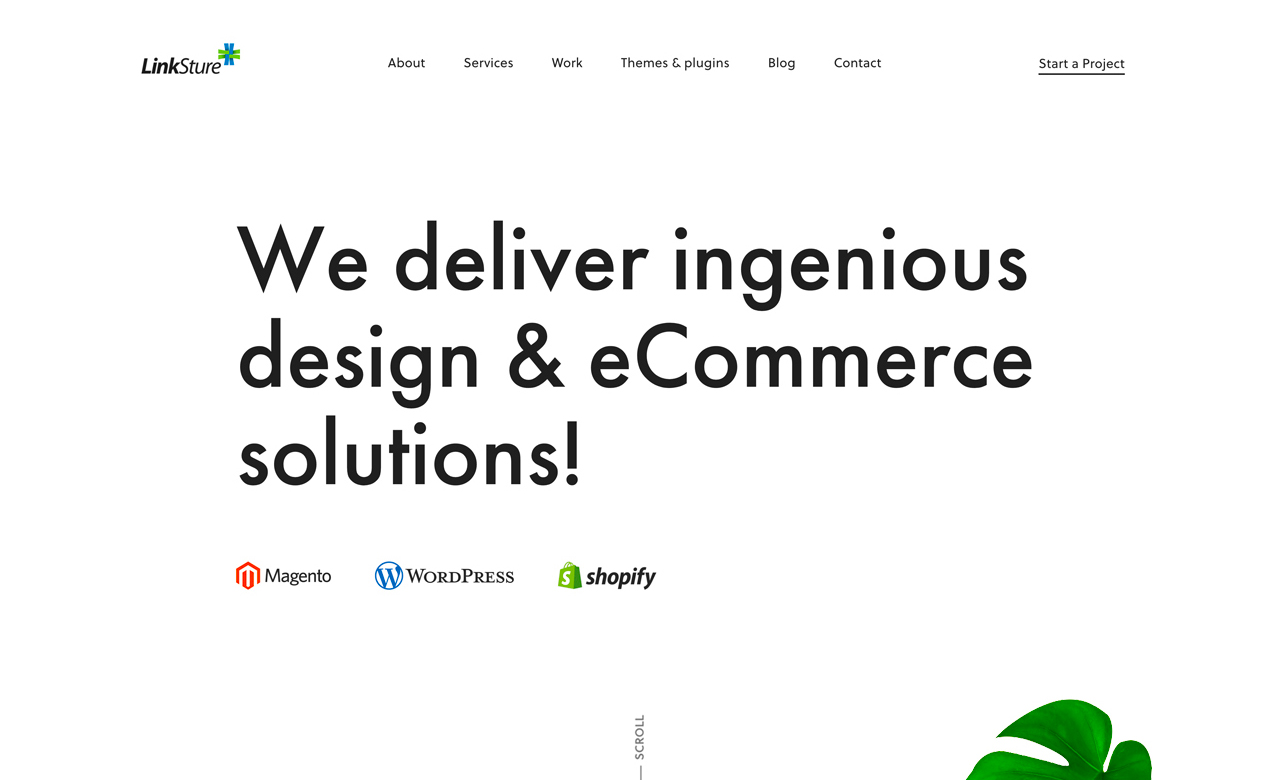 LinkSture eCommerce Agency