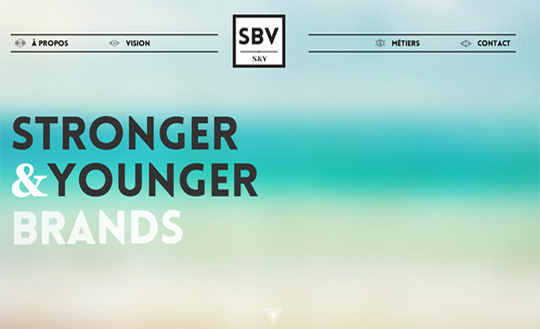 STROY BYVI  Stronger and Younger brands