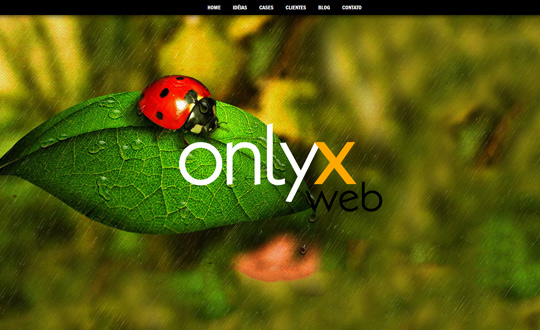 onlyx webdesign