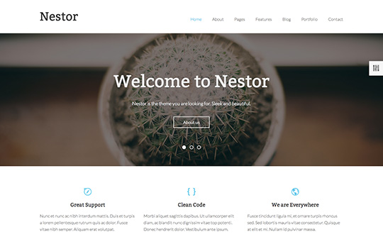 Nestor Responsive Drupal Template