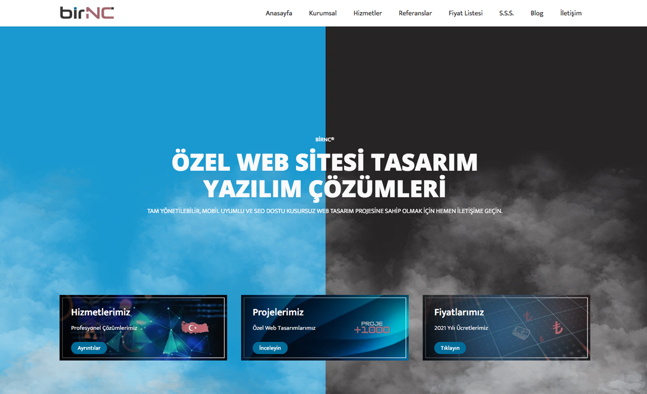 birnc web design 