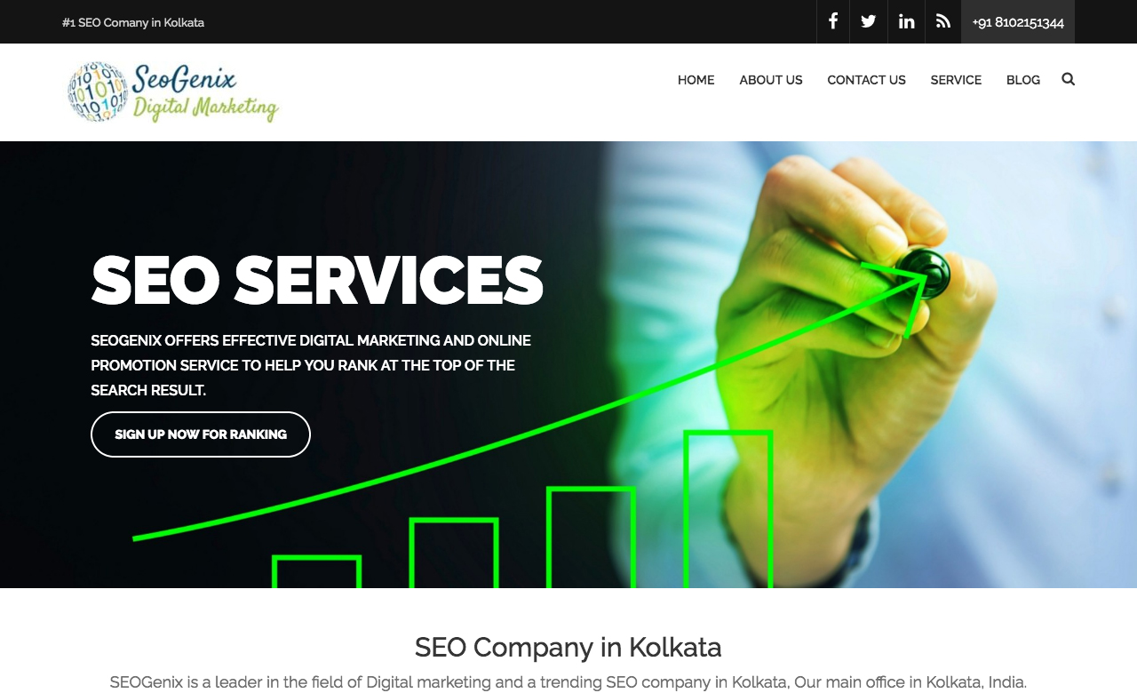 Seogenix Web