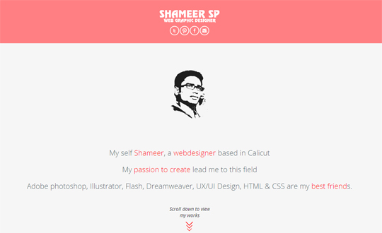 shameer webdesigner