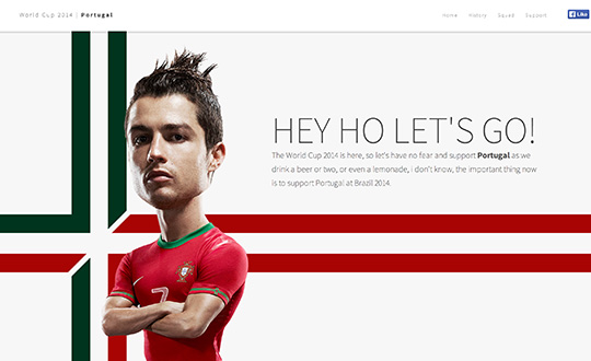 Portugal World Cup 2014