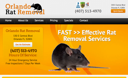 Rat Removal Orlando FL