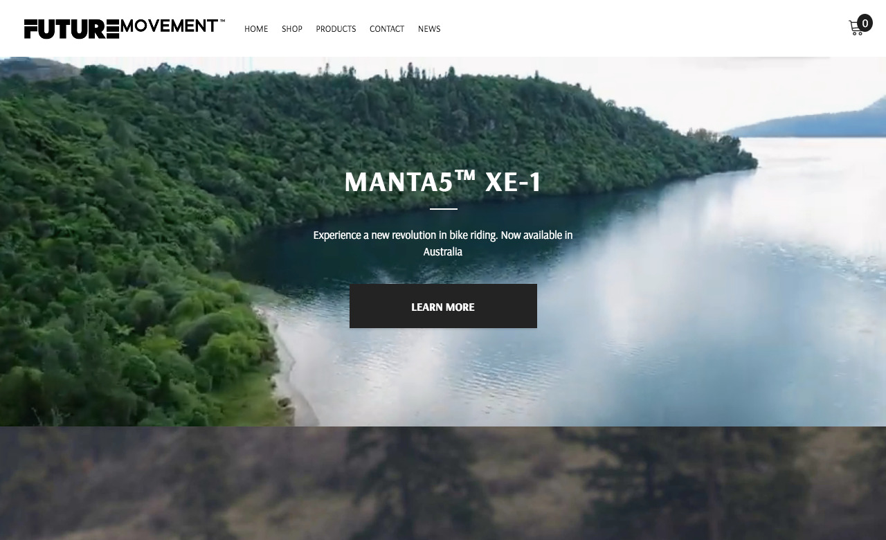 Future Movement Co