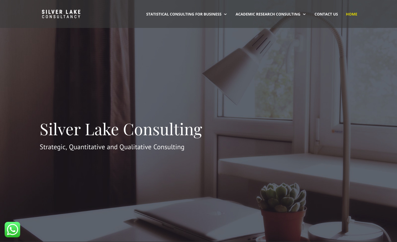 Silver Lake Consulting