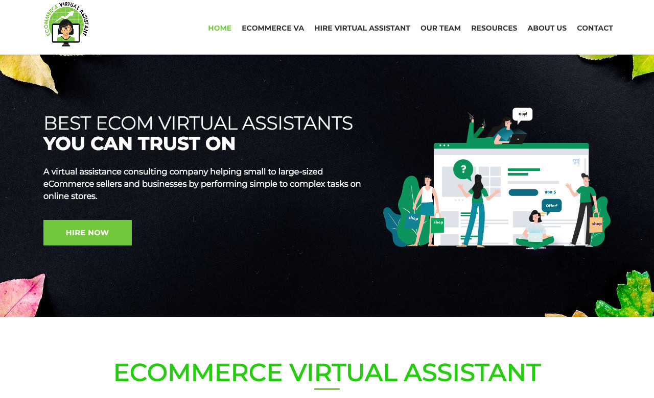 eCom Virtual Assistant 