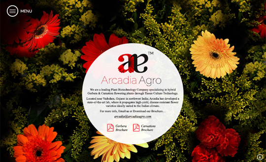 Arcadia Agro