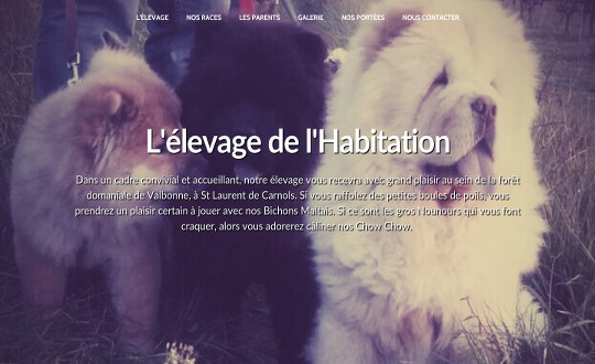 Elevage de l Habitation