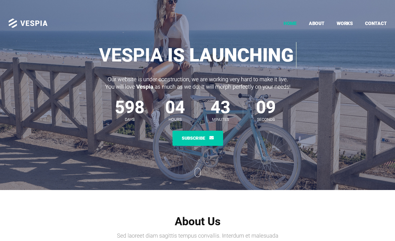Vespia Creative Coming Soon WordPress Plugin