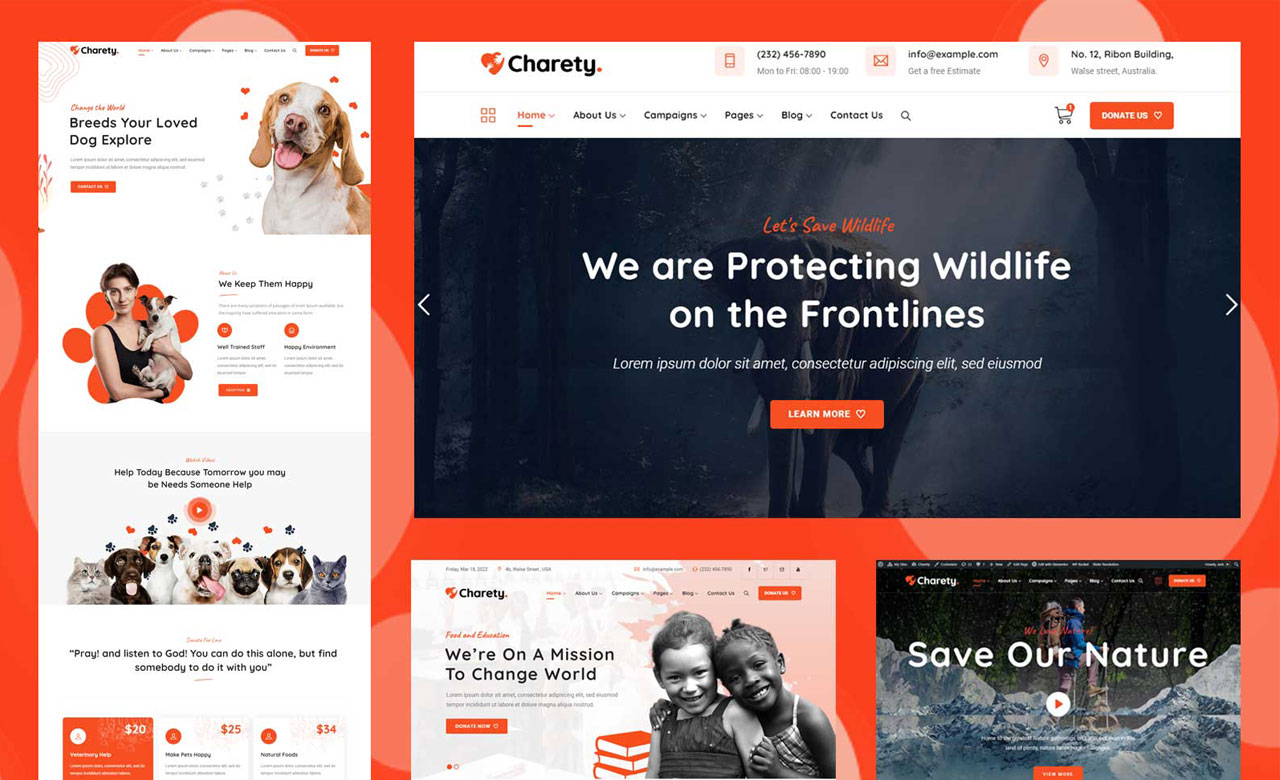  Charety Charity and Donation WordPress Theme 