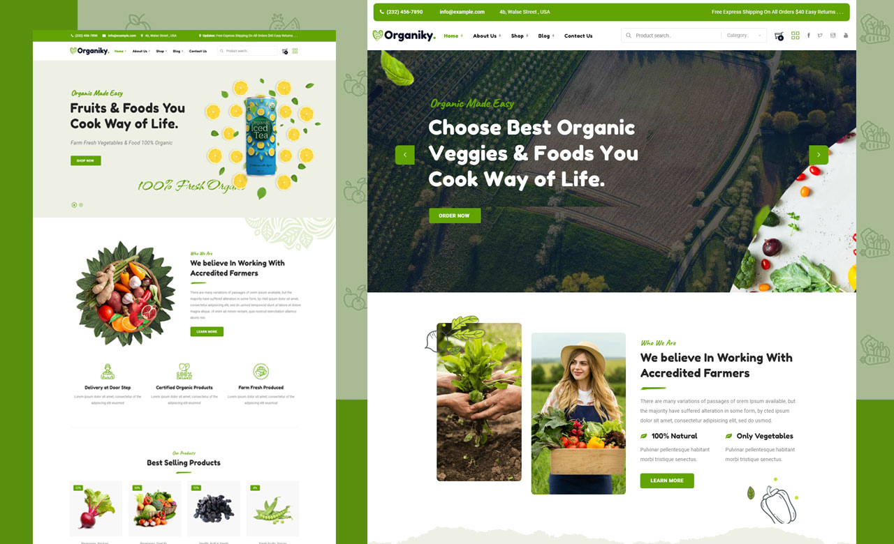 Organiky Organic Food Store WordPress Theme