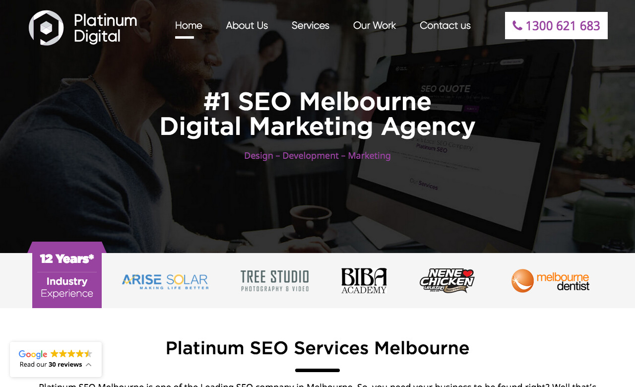 Platinum SEO Services