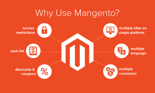 Hire Magento Programmer