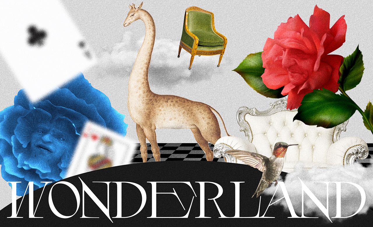 A journey to Wonderland