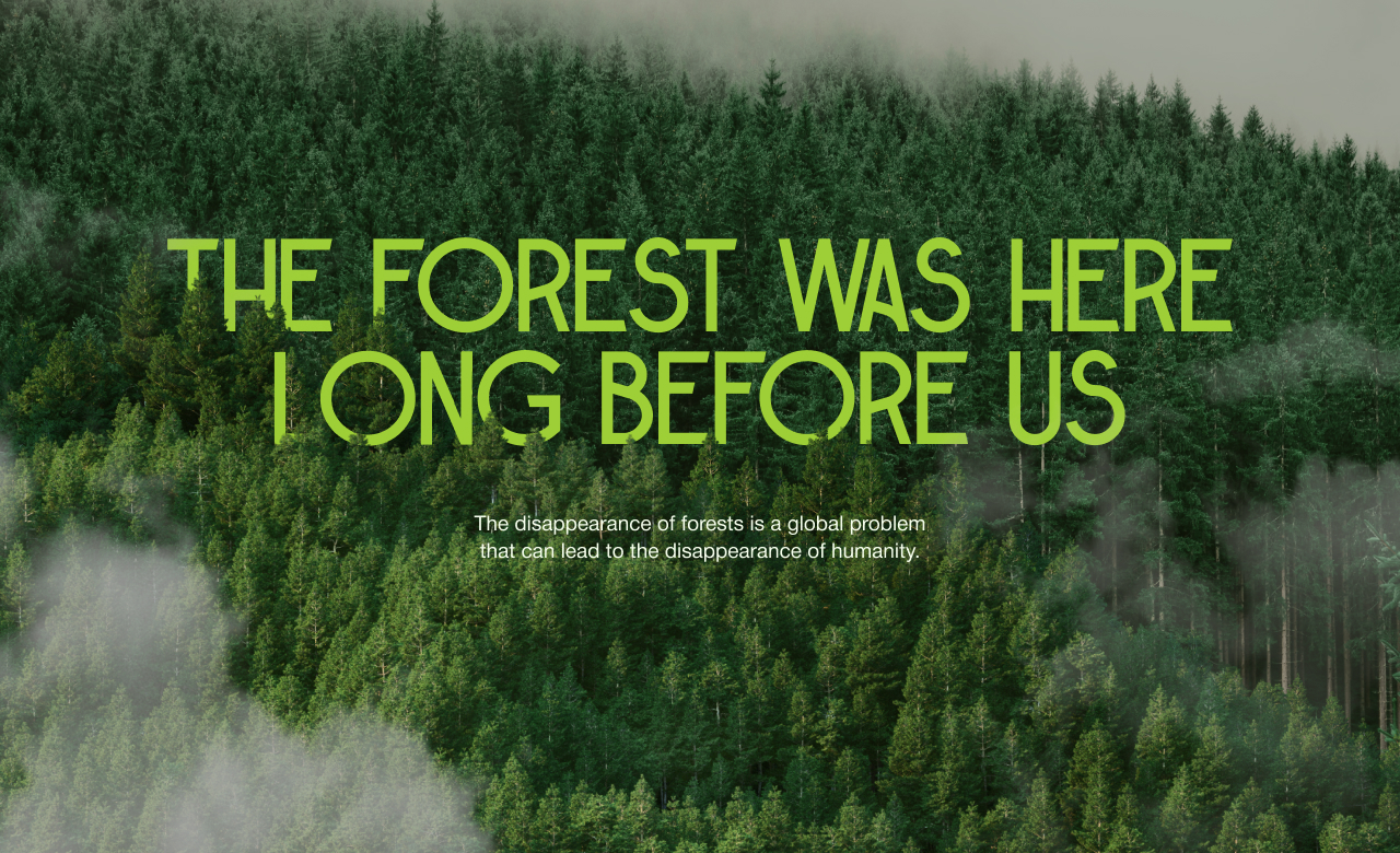 The forest is the lungs of our planet