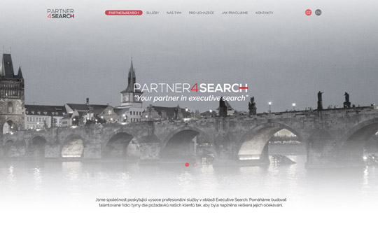 Partner4Search