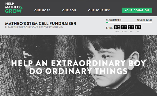 Matheos Stem Cell Treatment Fundraiser