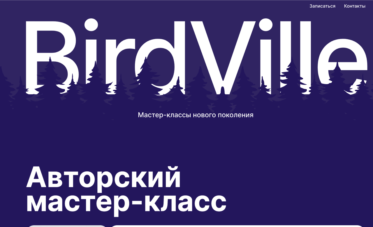 BirdVille