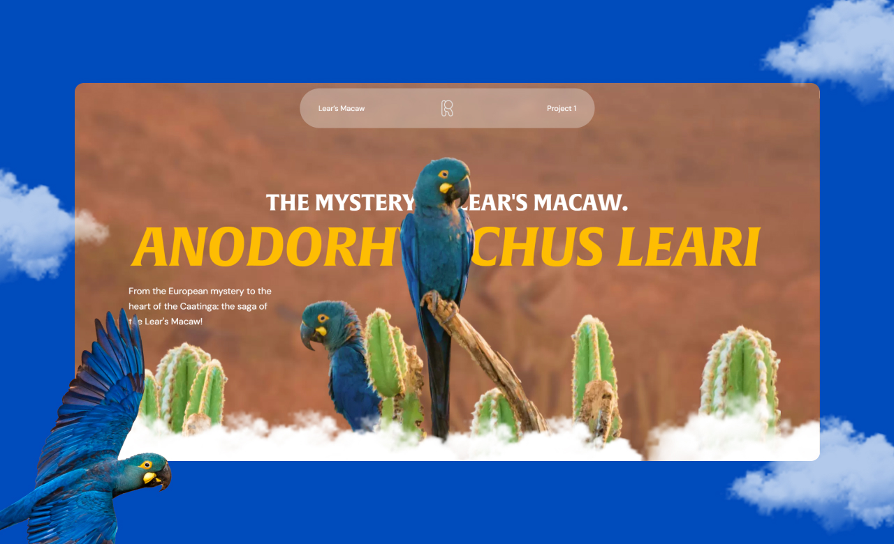 The Mystery of Lears Macaw 