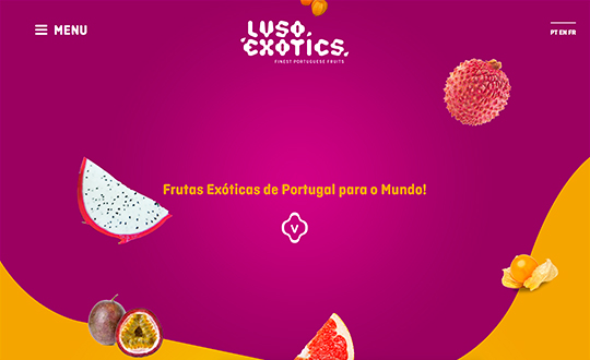 Lusoexotics