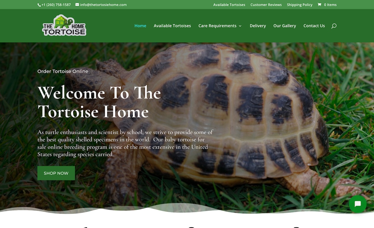 The tortoise home