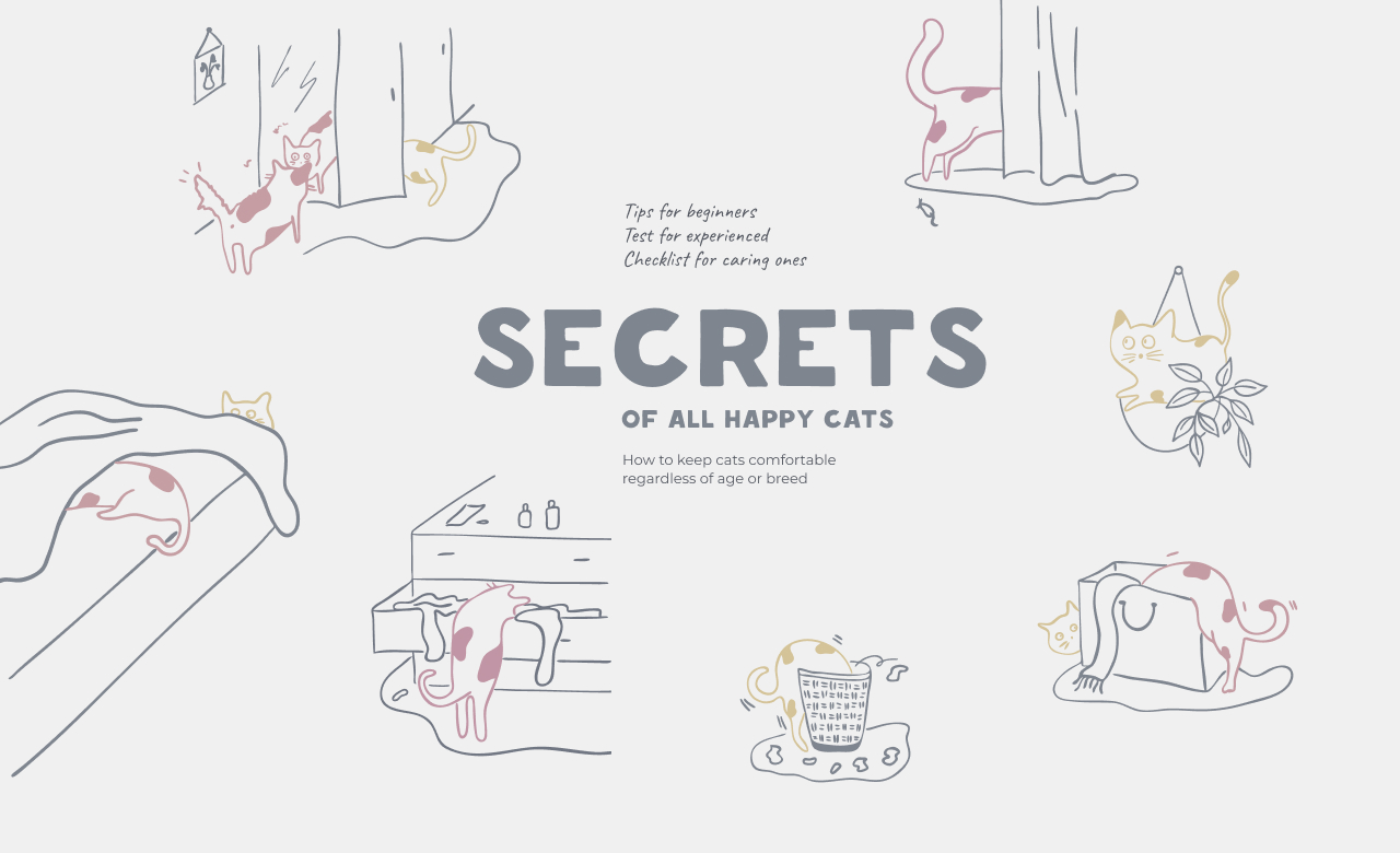 Secrets of happy cats