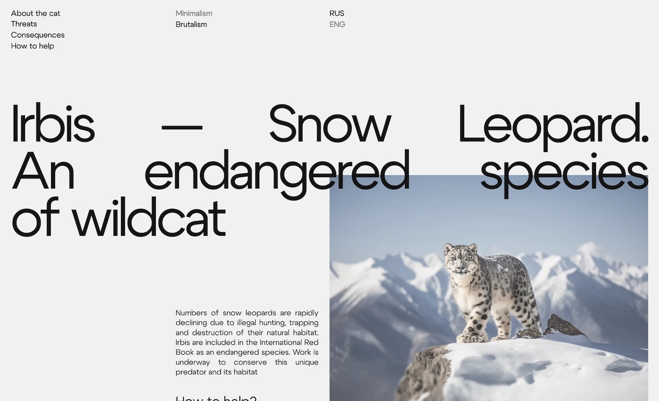 Irbis Snow Leopard