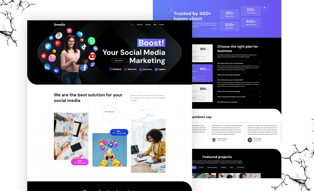 Social Marketing WordPress Theme