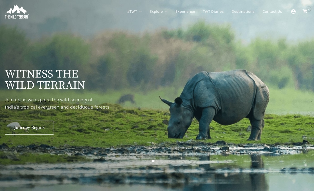 The Wild Terrain