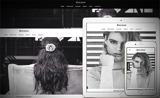 Borano Photography Portfolio Template