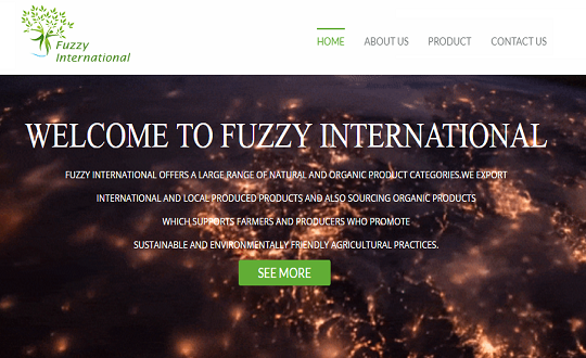 fuzzy international