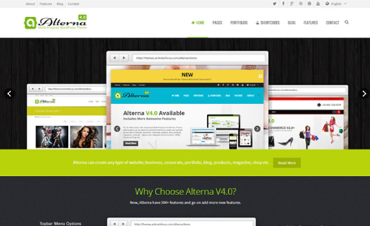 Alterna Multi Purpose WordPress Theme