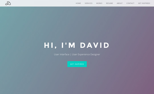 David Rodriguez Portfolio