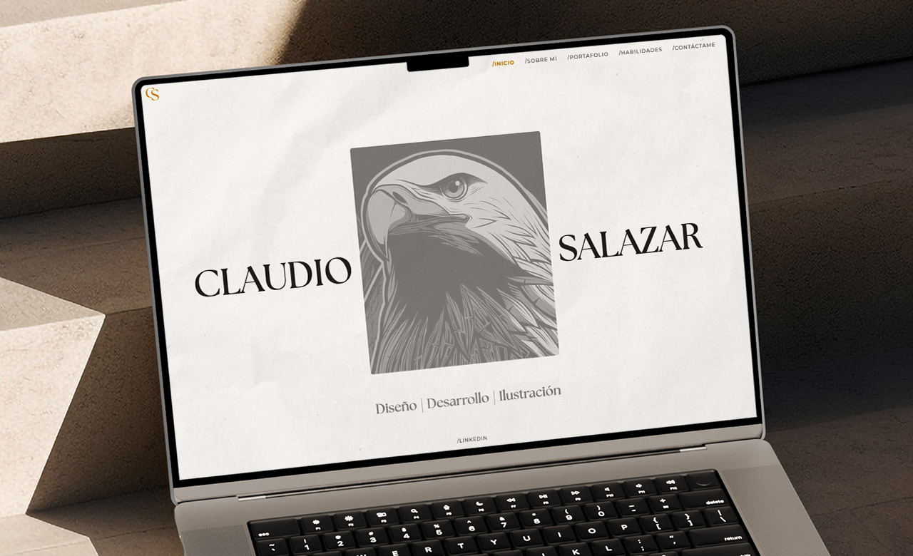 Portafolio Claudio Salazar