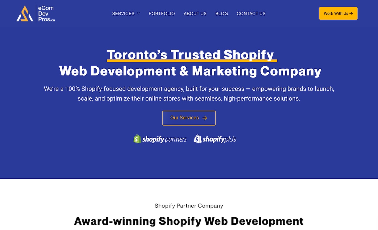 eCommerce Development Pros