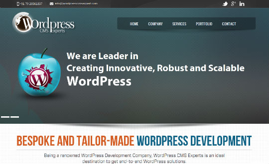 WordPressCMSExperts
