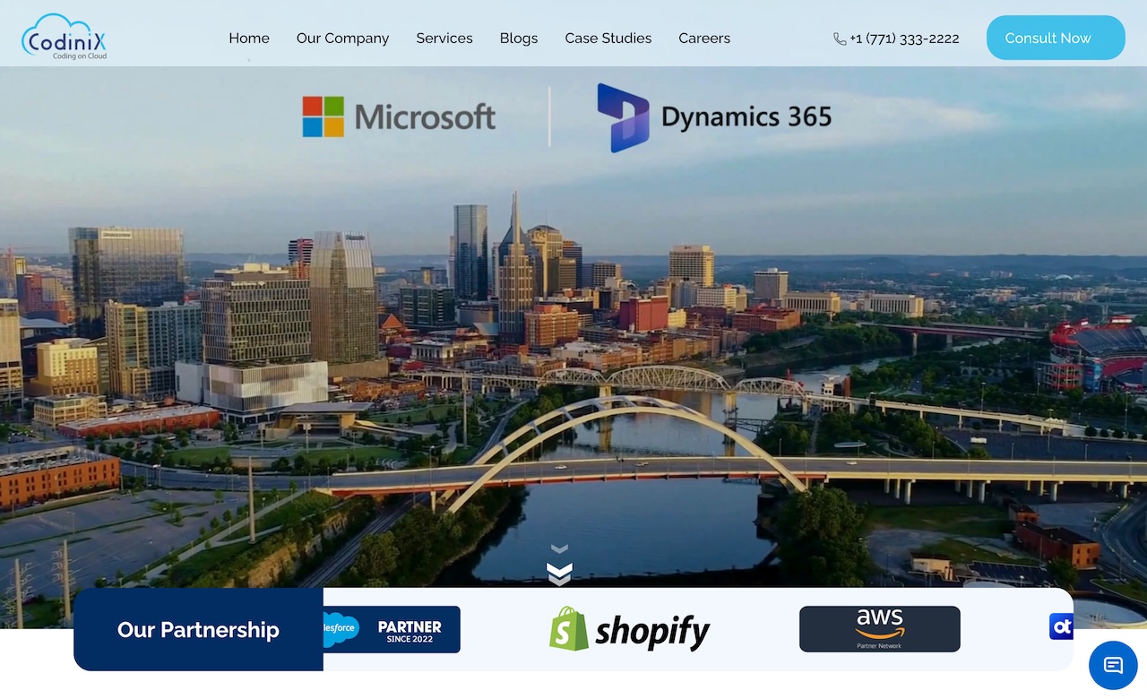 Codinix Technologies Inc