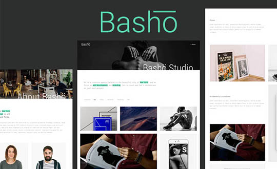 Basho A Creative WordPress Theme for Freelancers and Agencies