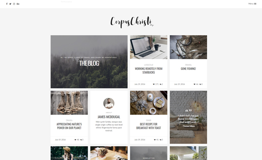 CorpusChristi Modern Blog WordPress Theme