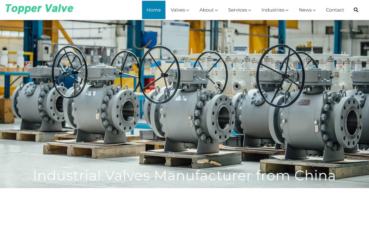 Valve Manufacturer